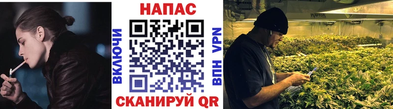 Канабис OG Kush  Смоленск 
